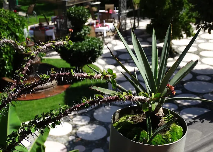 Paraiso Garden & SpaSpa Hotel